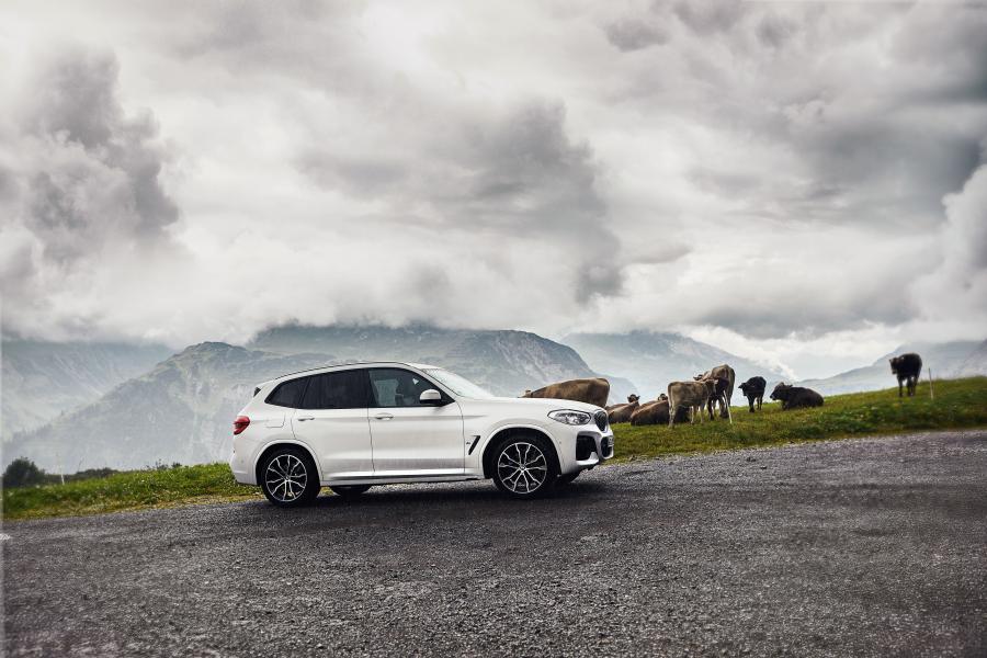  BMW X3 xDrive30e M Sport (G01) 2019 года  (WW) (фото 18 из 19)